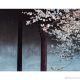 白逊